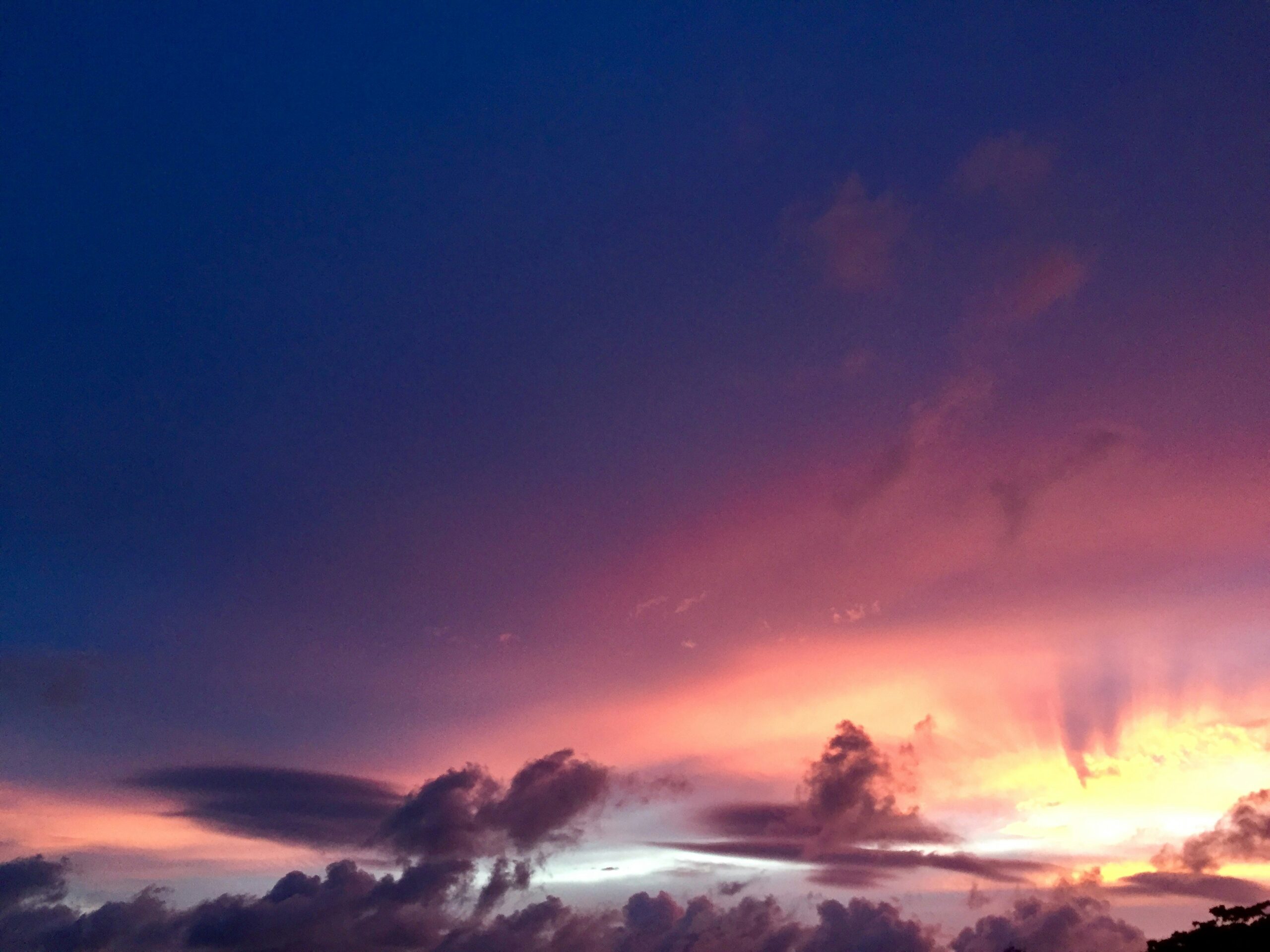 Photo by Clément Griffet on Unsplash