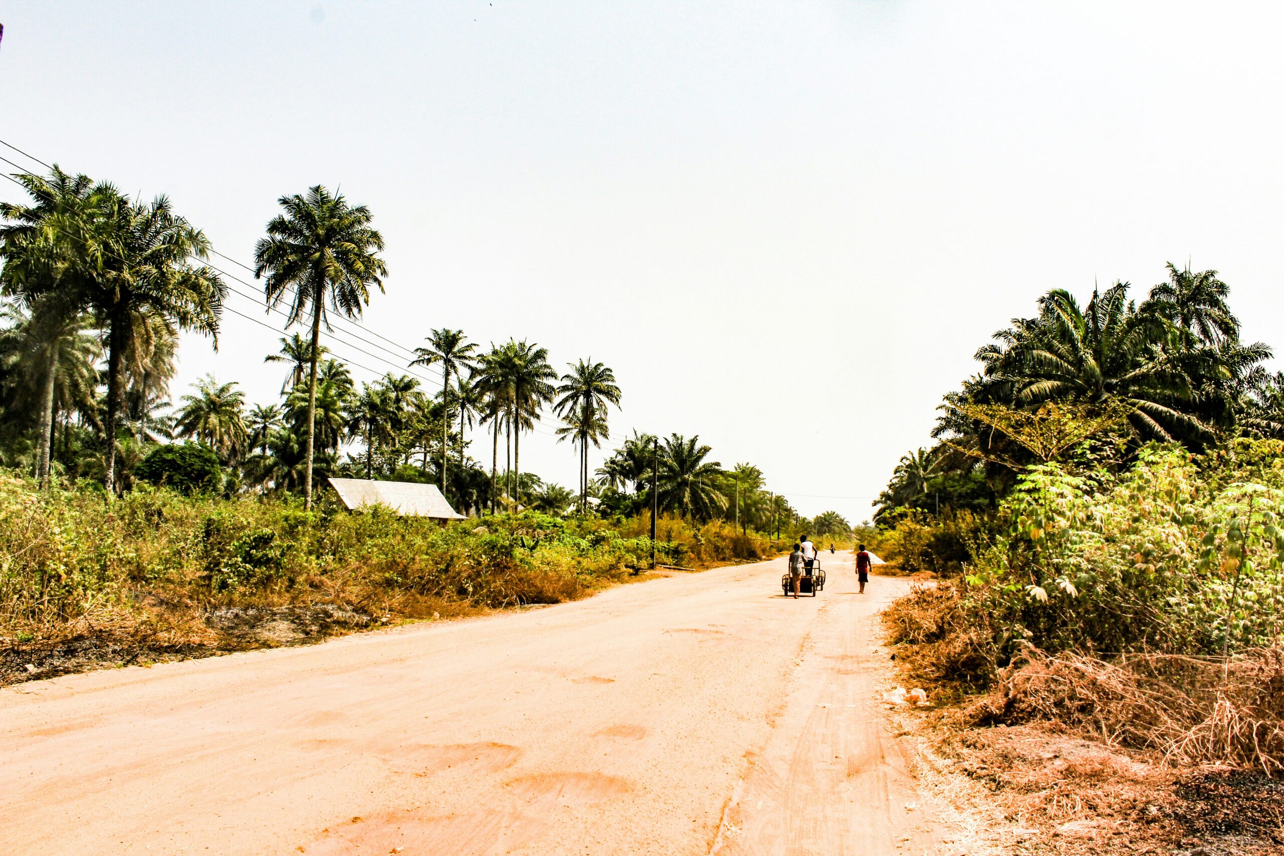 Photo by Nnaemeka Ugochukwu on Unsplash