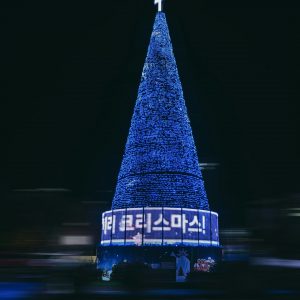 Photo by Felix Fuchs on Unsplash