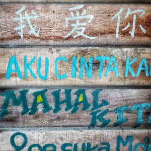 Photo by Hannah Wright on Unsplash