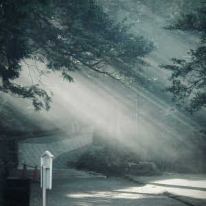 Photo by Jonas Gerlach on Unsplash