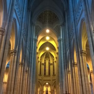 Photo by Nicolas Brigante on Unsplash