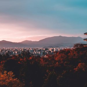 su-san-lee-E_eWwM29wfU-unsplash